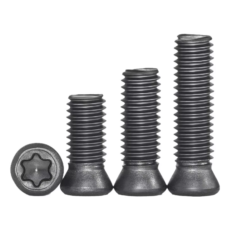 TEBAK Custom Long Torx Screws M2 M4 M6 for CNC Cutting Tool Metric Measurement System ISO Standard