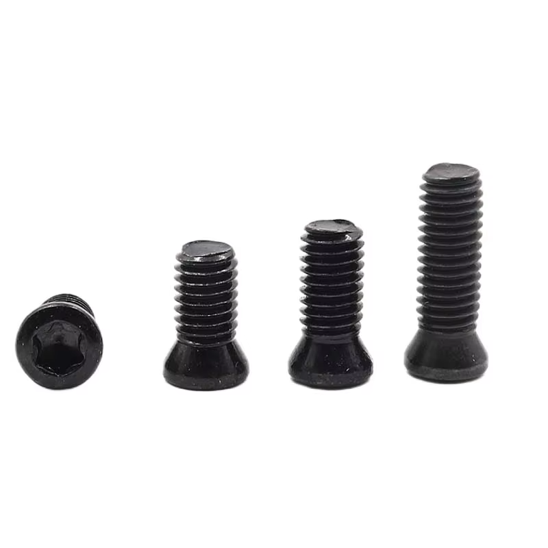 TEBAK Custom Long Torx Screws M2 M4 M6 for CNC Cutting Tool Metric Measurement System ISO Standard view 3
